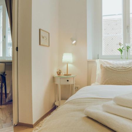 Stylish Apartment In Historical Center ลูบลิยานา ภายนอก รูปภาพ